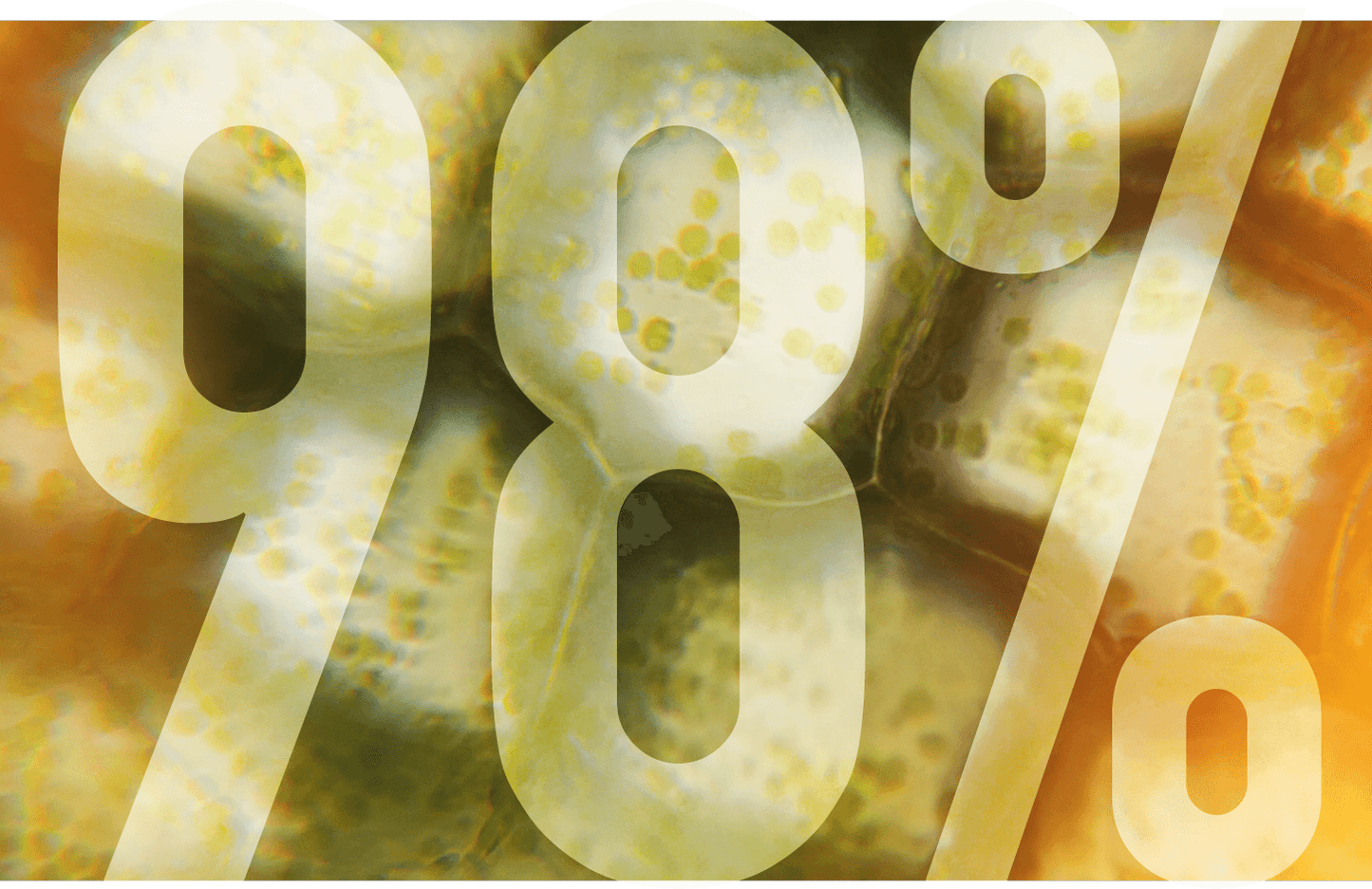 Snödrop - Omega 3s Fish & Krill Oil